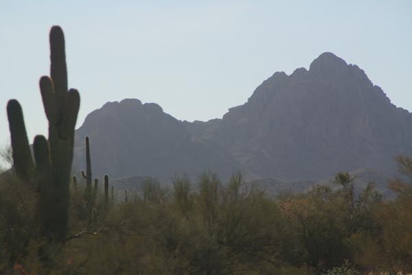 An order from the U.S. Department of the Interior allows the Bureau of Land Management to review lands within the Ironwood Forest National Monument northwest of Tucson for possible protection as wilderness areas. (Photo by Stephen Varga/El Independiente)